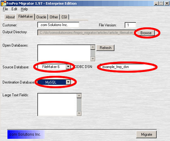 Figure 3 - FileMaker Parameters