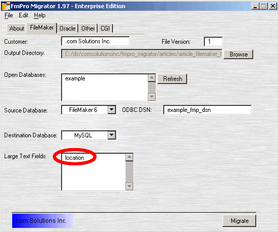 Figure 13 - Defining Large Text Fields
