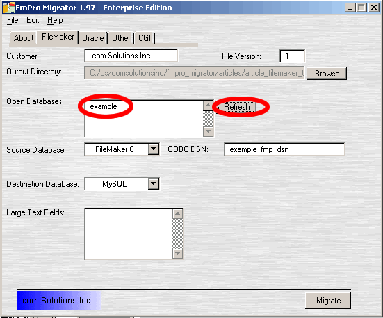Figure 8 - FileMaker Open Databases