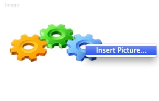 Insert Image